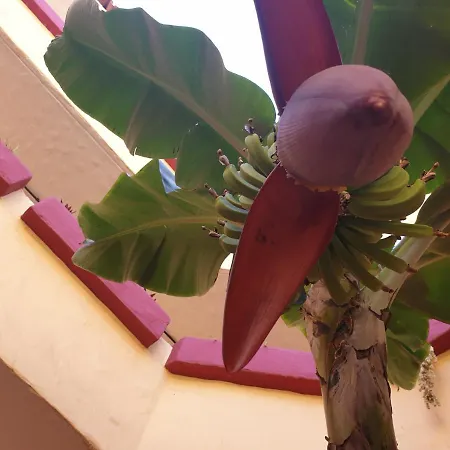 Marino Tenerife Aparthotel 4*